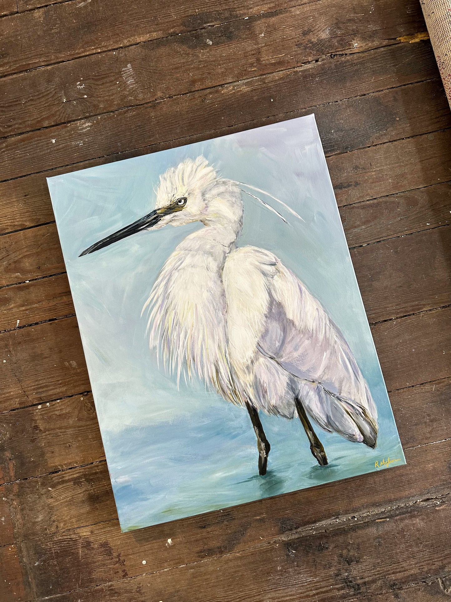 Little Egret