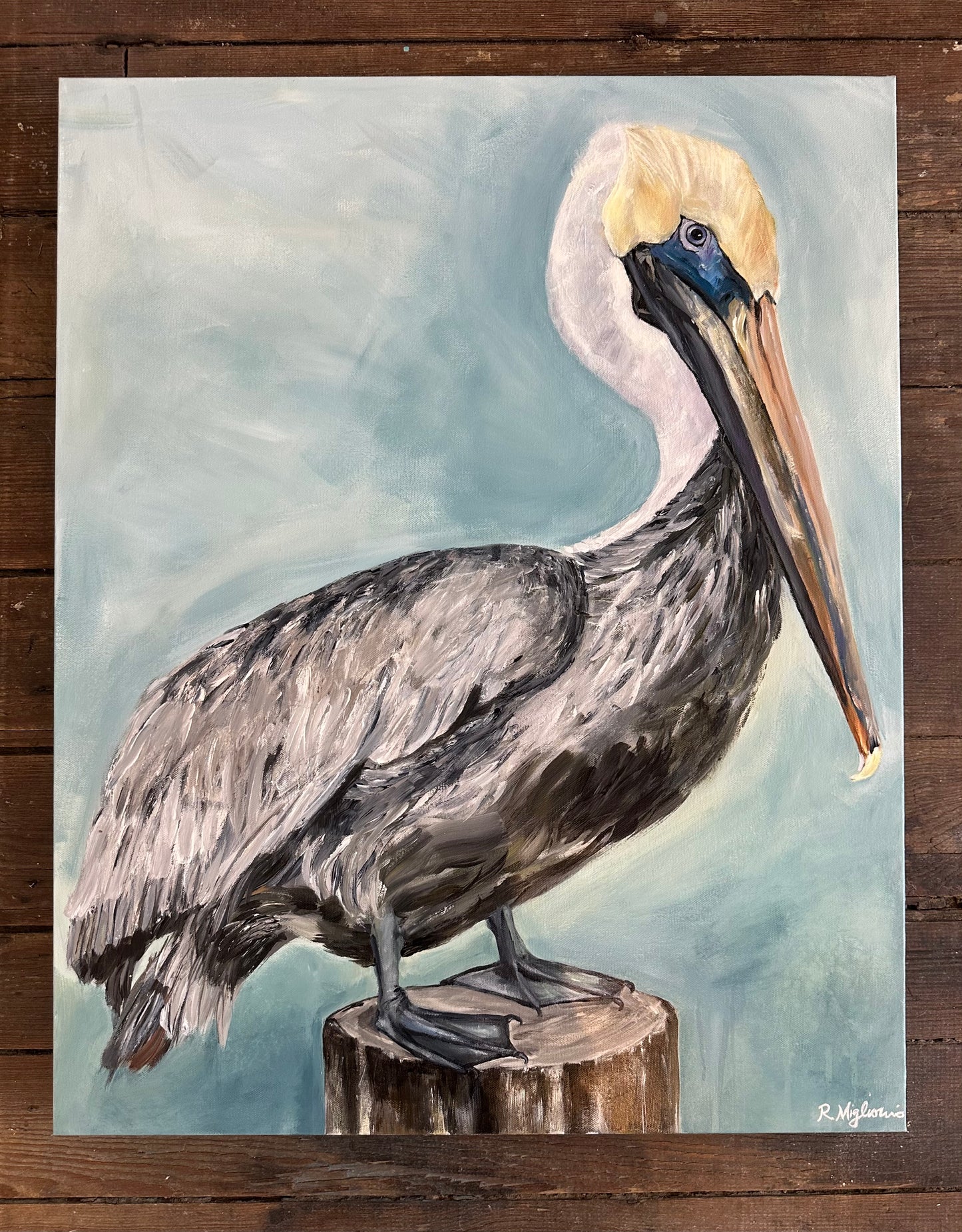 Pelicans Watch