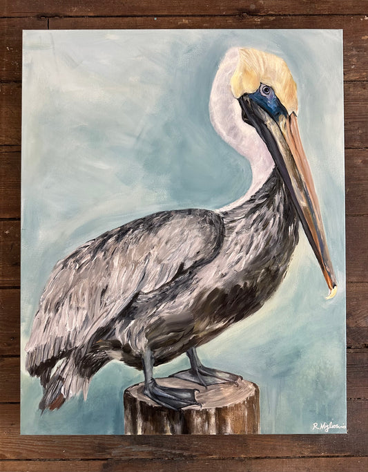 Pelicans Watch