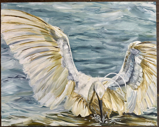 Unfolding- Great White Egret