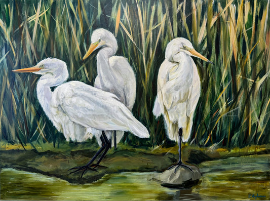 Egrets in the Marsh